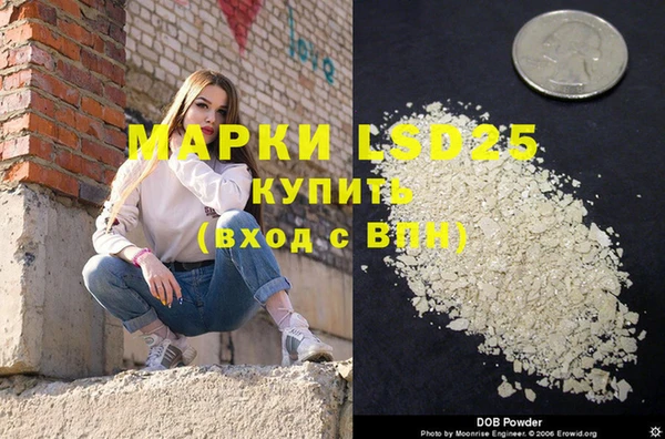 ПСИЛОЦИБИНОВЫЕ ГРИБЫ Белокуриха