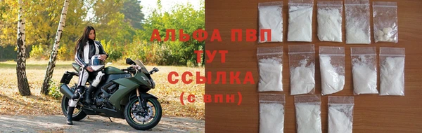 ПСИЛОЦИБИНОВЫЕ ГРИБЫ Белокуриха