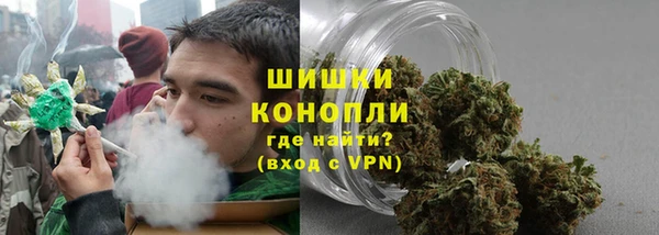 ПСИЛОЦИБИНОВЫЕ ГРИБЫ Белокуриха