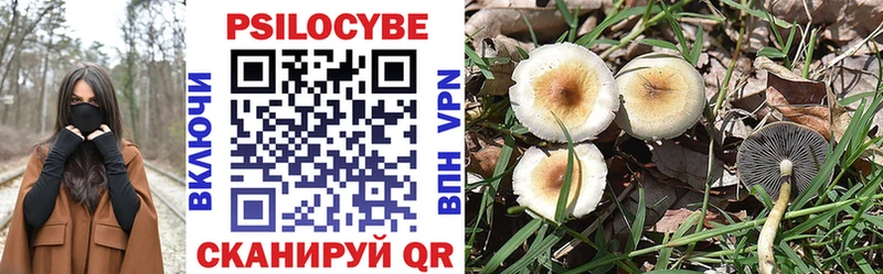 магазин    Игра  Псилоцибиновые грибы Psilocybine cubensis 